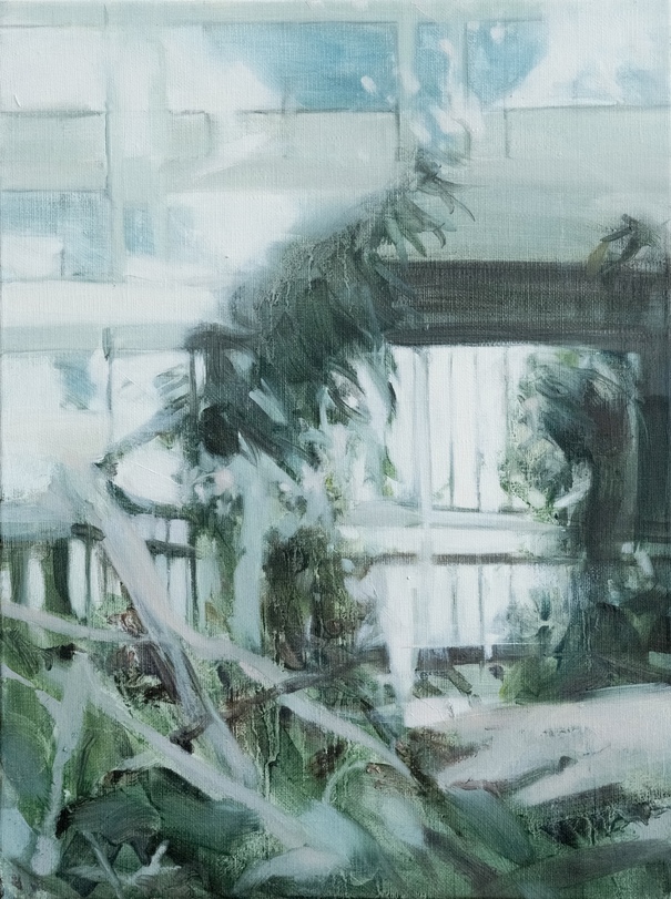 Блики